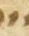 Letter - #55300