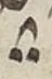 Divine Symbol - #55320