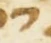 Letter - #55366