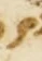 Letter - #55376