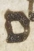Letter - #55403