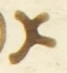 Letter - #55425