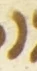 Letter - #55438