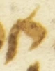 Letter - #55463