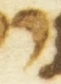 Letter - #55464