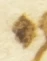 Letter - #55471