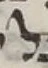 Letter - #55587