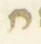 Letter - #55599