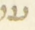 Letter - #55602