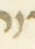 Letter - #55615