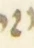 Letter - #55619