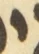 Letter - #55672