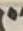Letter - #55686