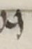 Letter - #55693