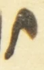 Letter - #55715