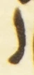 Letter - #55721