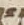 Letter - #55778