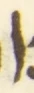Letter - #55793