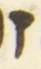 Letter - #55800