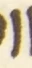 Letter - #55809
