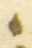 Letter - #55864