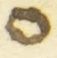 Letter - #55865