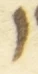 Letter - #55867