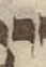 Letter - #55895