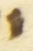 Letter - #55916