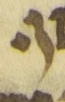 Letter - #55930