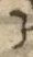 Letter - #55932