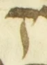 Letter - #55969