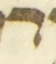 Letter - #55972