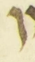 Letter - #55977