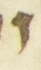 Letter - #55980