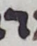 Letter - #56007