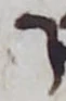 Letter - #56021