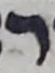 Letter - #56034