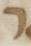 Letter - #5637