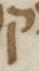 Letter - #5644