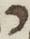 Letter - #5730