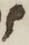 Letter - #5739