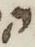 Letter - #5746