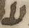 Letter - #5796