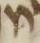 Letter - #5849