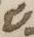 Letter - #5923