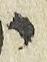 Letter - #6128