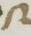 Letter - #6229