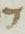 Letter - #6236