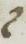 Letter - #6249